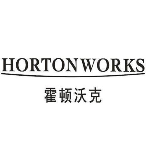 计算机编程; 提供互联网搜索引擎; 通过网站提供计算机技术和编程信息